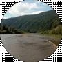 Georgsar