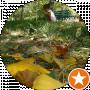 aimantalgat79