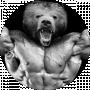 Gym Bear