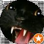 Кошка Воительница