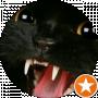 Кошка Воительница