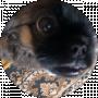 Юра Яцюк