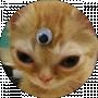 Gusynya