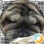Lalamops