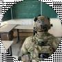Максим Миколайчук