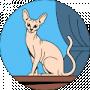 crescencia mcgowen