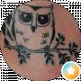 Nata Owl