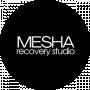 Mesha Recovery Studio