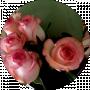Nady Bym