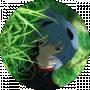 Anna Bubenchikova