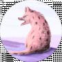 kotin
