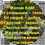 Сауле Мусаева