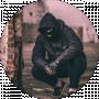 8dima8