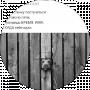 Евгения Promo