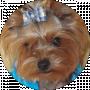 Яна Мартыненко