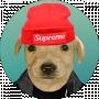 Carpenter