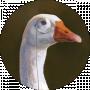 Василь Вознюк