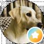 Nina Benyakh