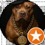 GS RECORDS “Shakdog”