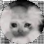 Artem