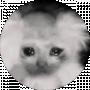 Artem