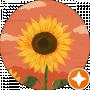 Sunshine Sunflower