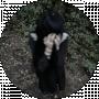 lowlifeonhigh
