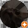 cat burst