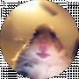 Asivoy