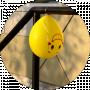 Ilia -