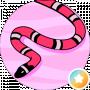 Дана Білявець