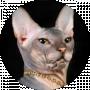 Anatoliy