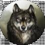 I'm Wolf