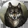 I'm Wolf