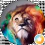 Vova Leon