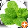 Tint of Mint