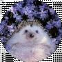 _{vanilla_demon}_