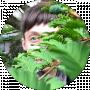 o g