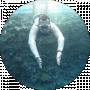 Dmytro N