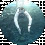 Dmytro N