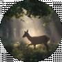 Алиса Белая Fawn
