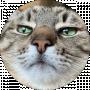 Mur Nyav