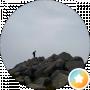 Pavlo