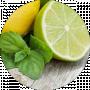 ssetar