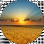 Sol Alte
