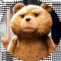 Funny Bear