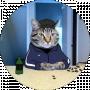 Тимур Madout 2