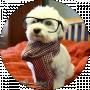 Kateryna KHLON