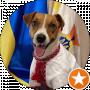 діаназавр