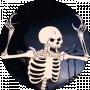 Dr. Bones